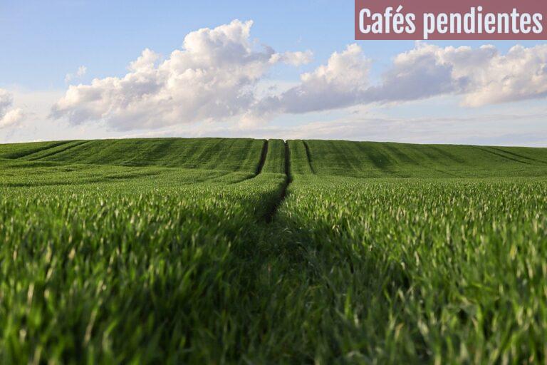 Cómo saber si un terreno tiene cargas o problemas legales