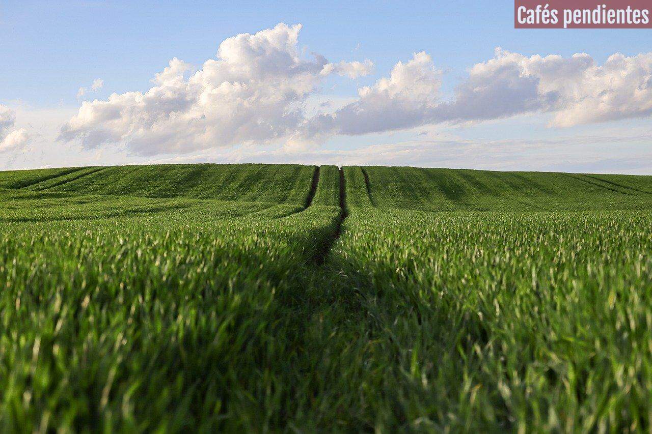 Cómo saber si un terreno tiene cargas o problemas legales